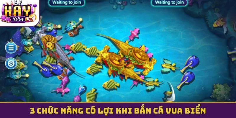 3 chức năng có lợi khi bắn cá vua biển