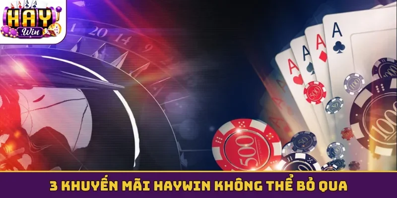 3 khuyến mãi Haywin không thể bỏ qua