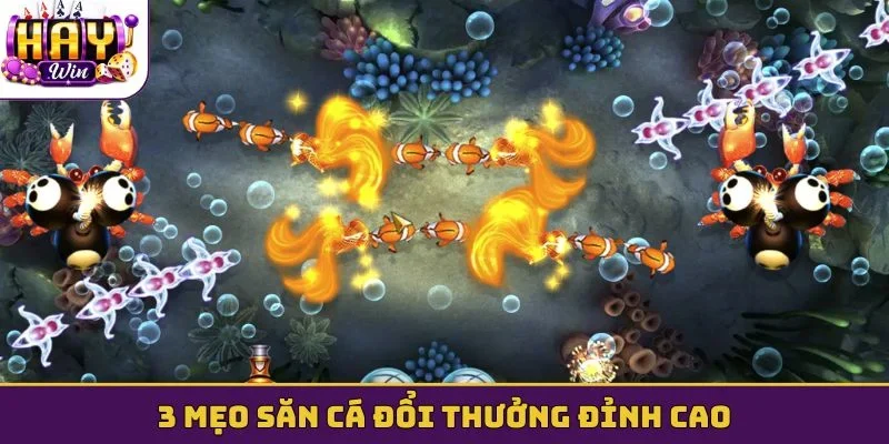 3 mẹo săn cá đổi thưởng đỉnh cao