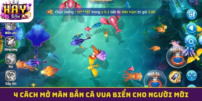 4 cách mở màn bắn cá vua biển cho người mới