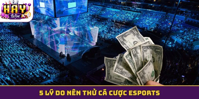 5 lý do nên thử cá cược Esports
