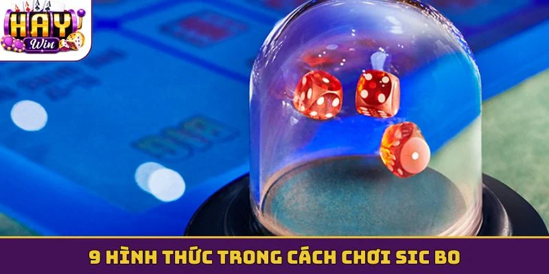 9 hình thức trong cách chơi Sic bo