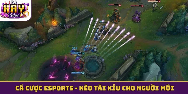 Cá cược Esports - Kèo tài xỉu cho người mới