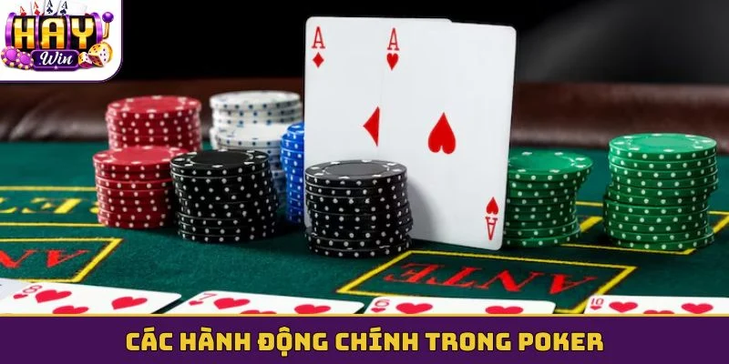 Các hành động chính trong Poker
