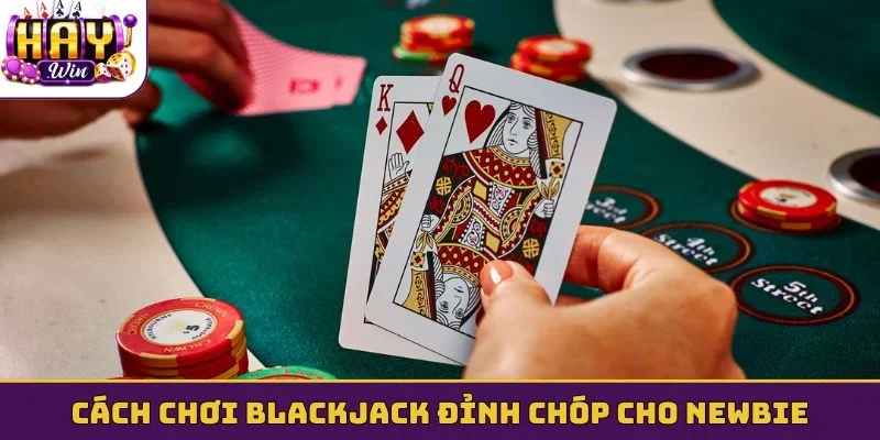 Cách chơi Blackjack đỉnh chóp cho newbie