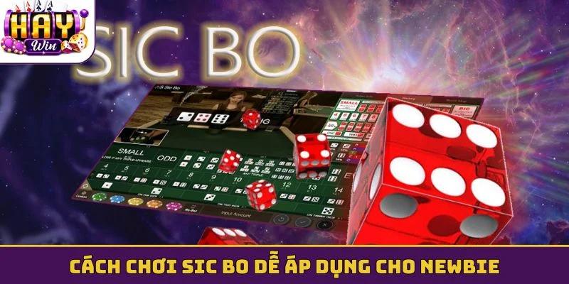 Cách chơi Sic bo dễ áp dụng cho newbie