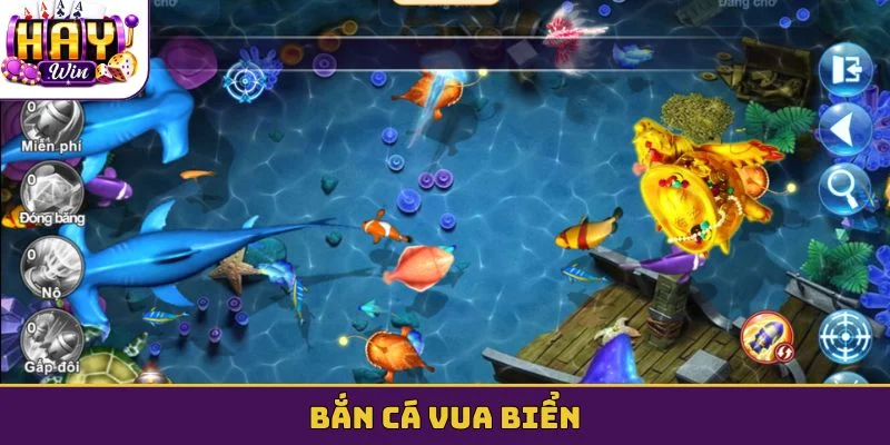 Bắn cá vua biển
