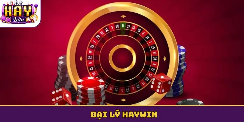 đại lý haywin