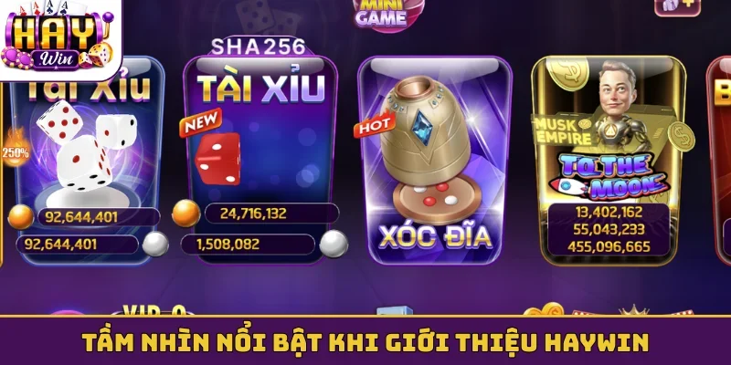 Tầm nhìn chiến lược nổi bật khi giới thiệu Haywin