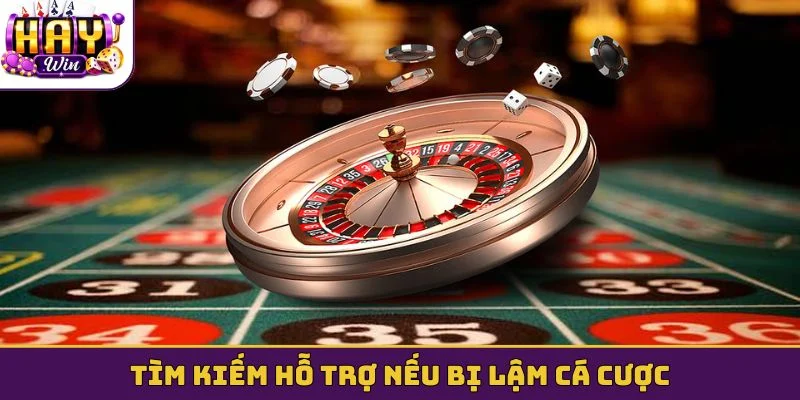 Tìm kiếm hỗ trợ nếu bị lậm cá cược
