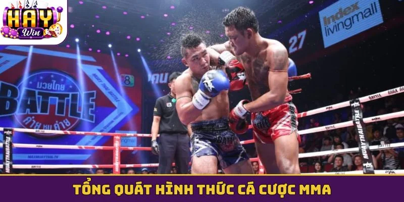 Tổng quát hình thức cá cược MMA